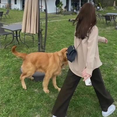 手铐情人